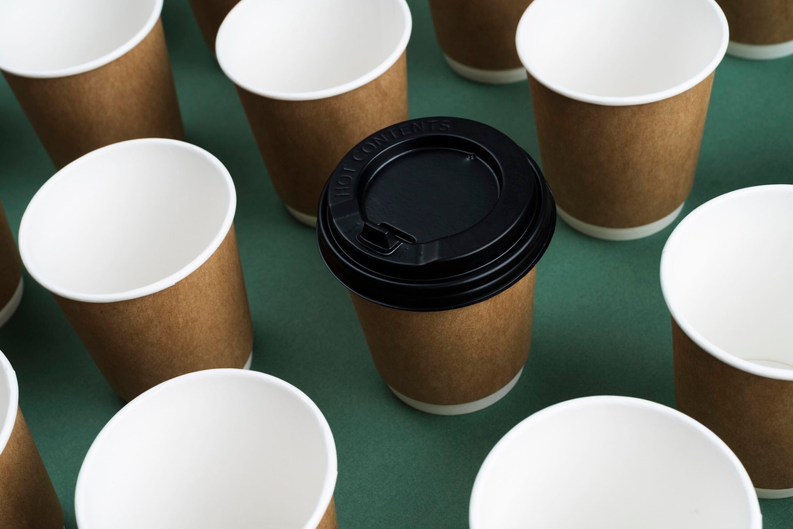 arrangement different disposable eco friendly tableware